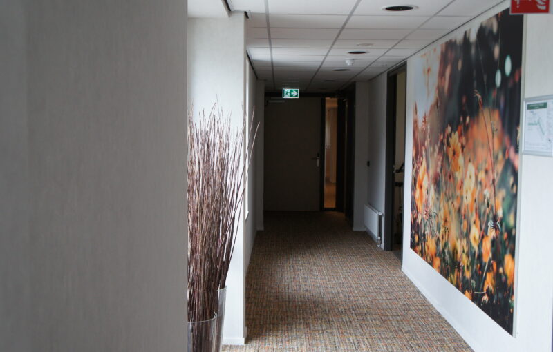 gallerij afbeelding