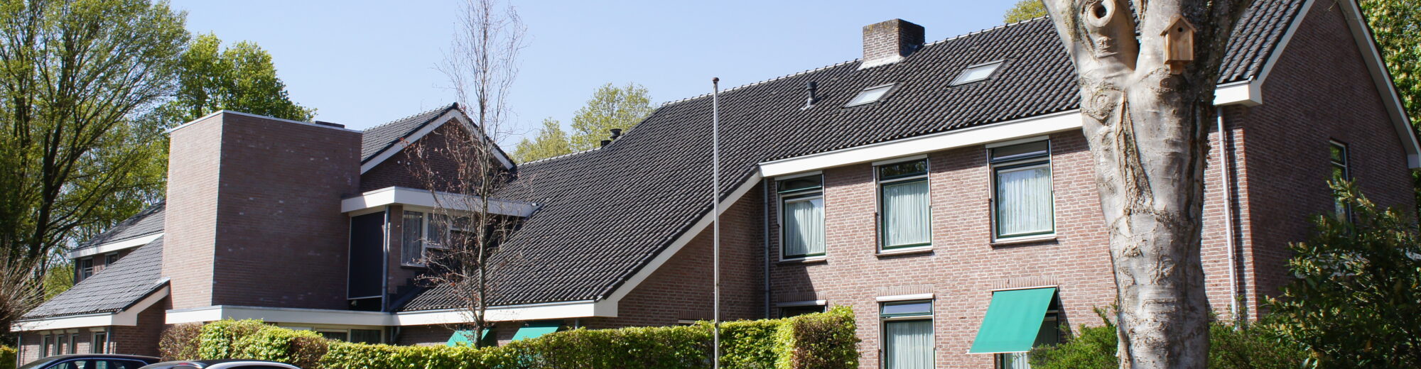 header afbeelding