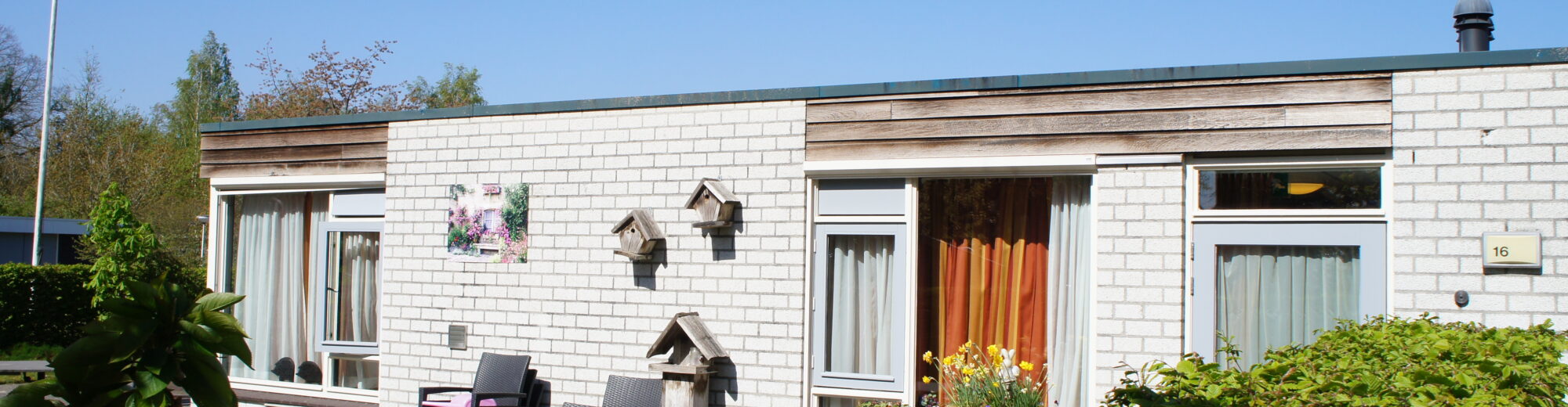 header afbeelding