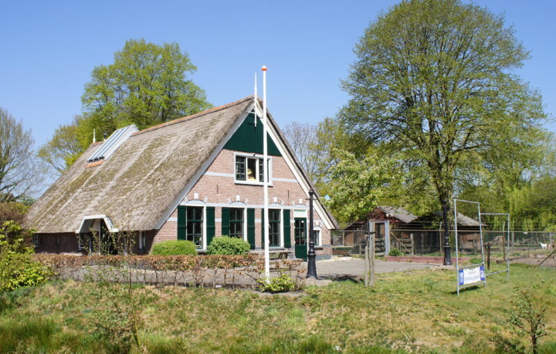 gallerij afbeelding