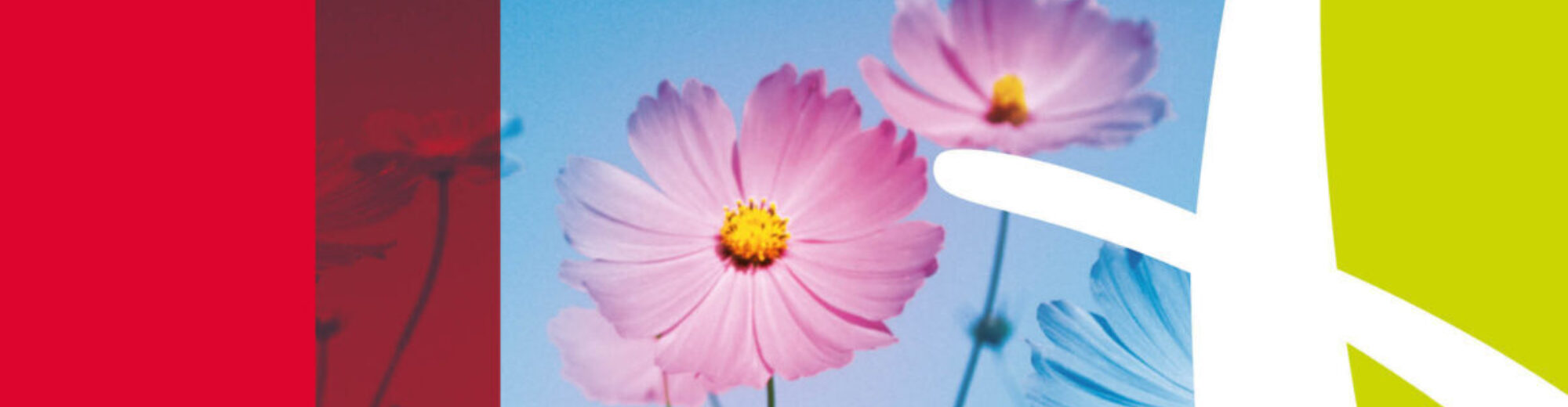 header afbeelding