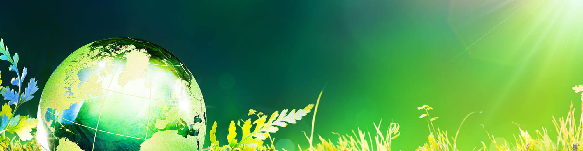 header afbeelding